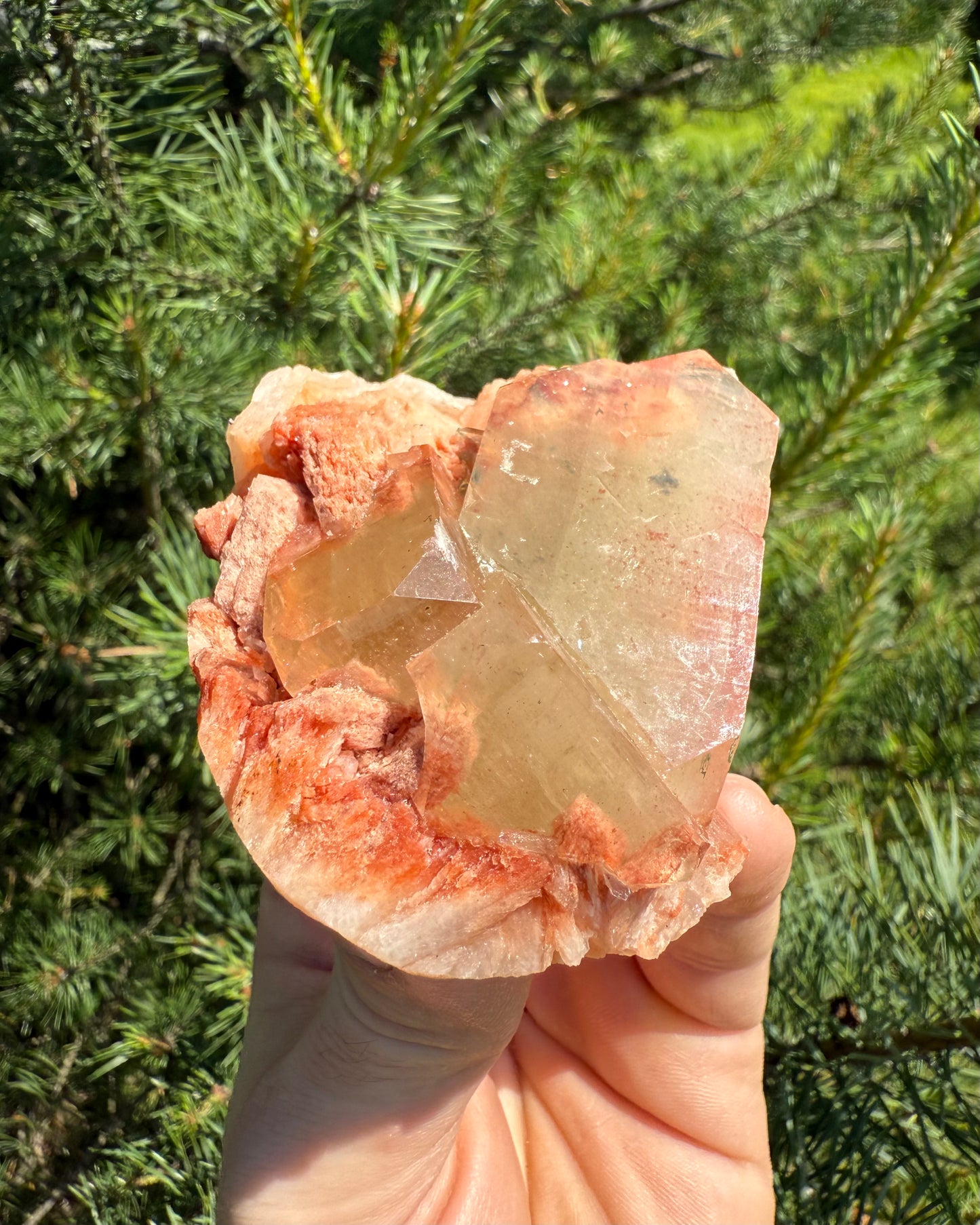 Green Apophyllite with pink Scolecite. Love. Personal Growth. Renewal.