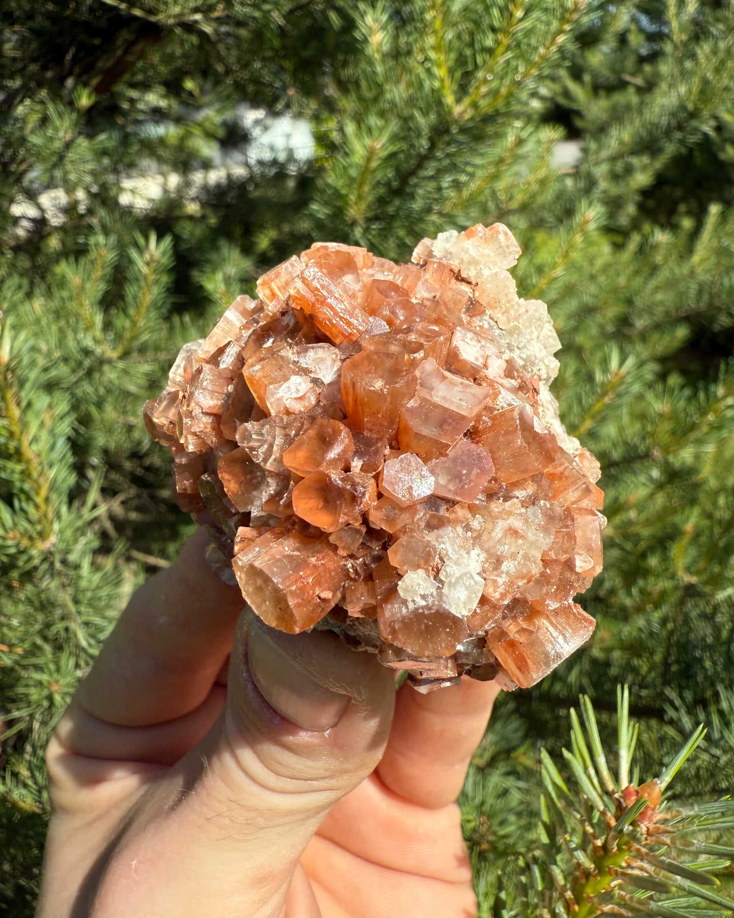 Aragonite.