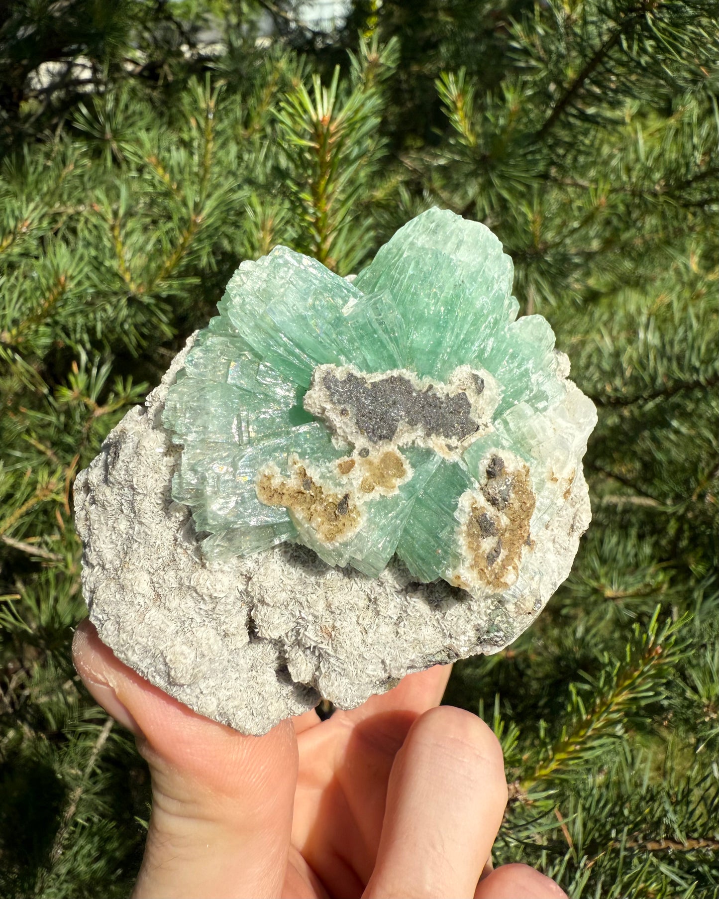Green Apophyllite.