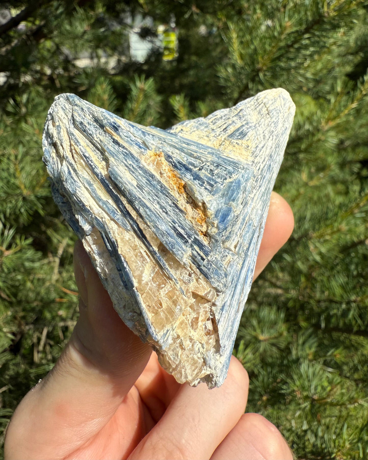 Kyanite with Imperial Topaz.