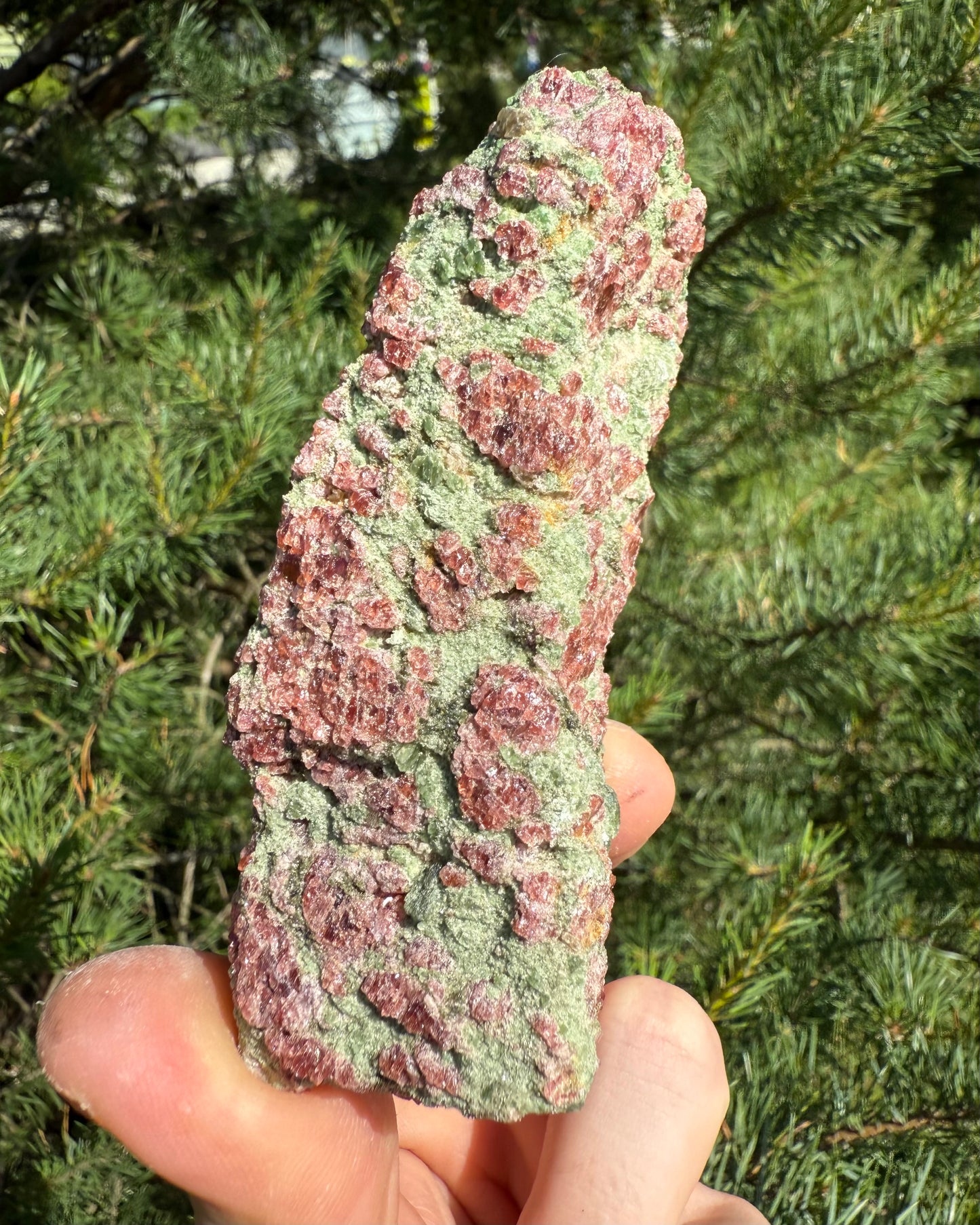 Ruby in Zoisite.
