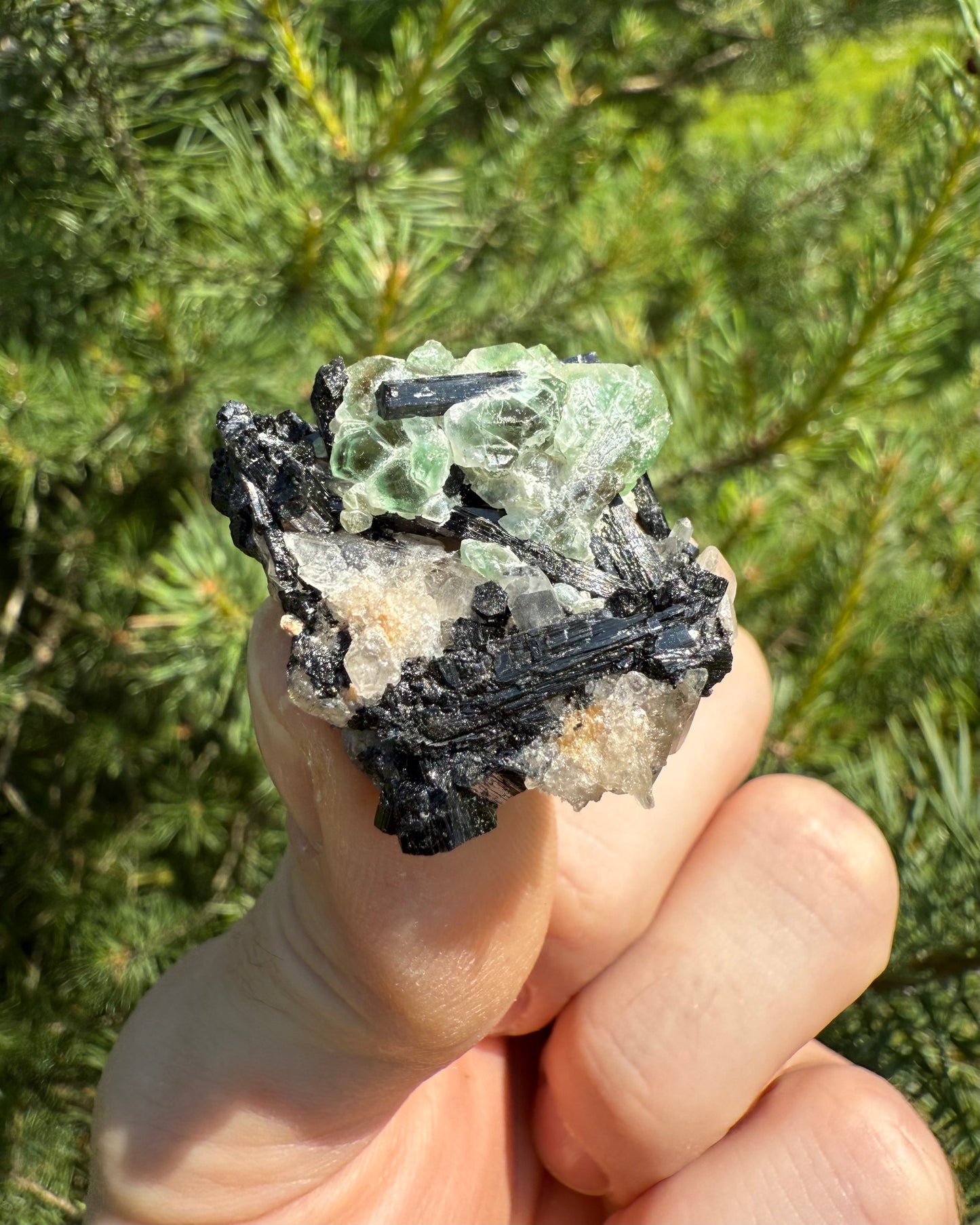 Fluorite with Schorl.