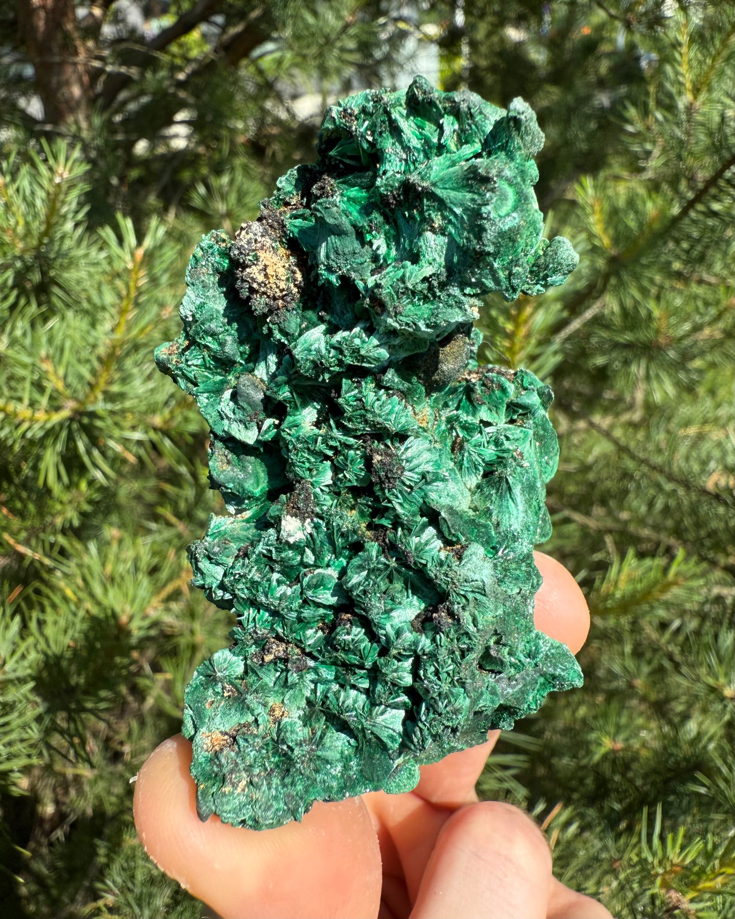 Crystallized Malachite.