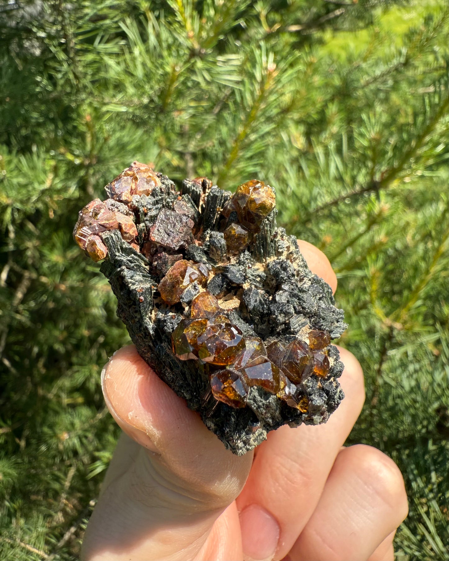 Orange Andradite.
