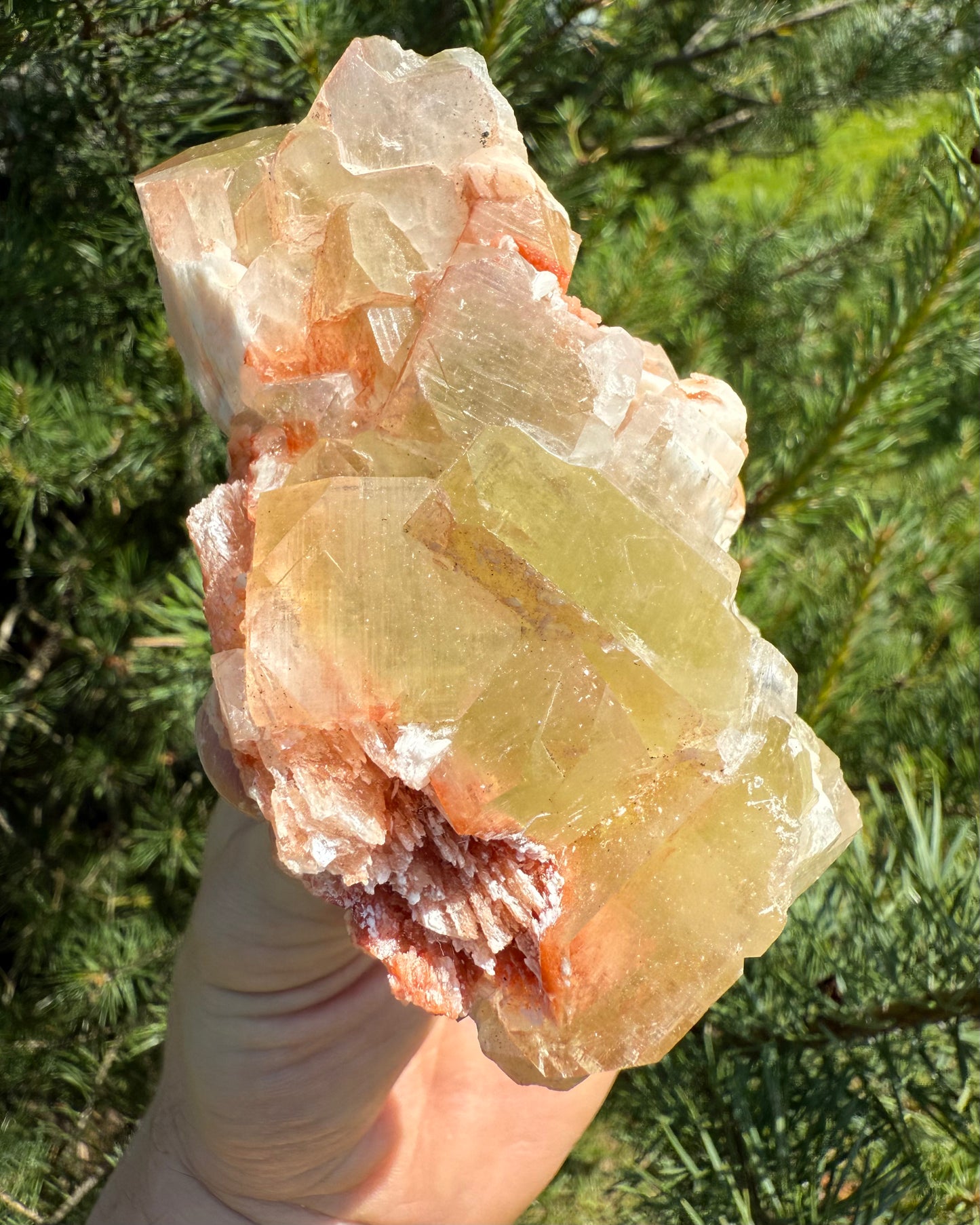 Green Apophyllite with pink Scolecite.