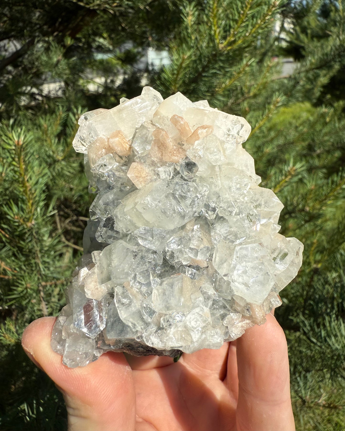 Apophyllite with Stiblite.