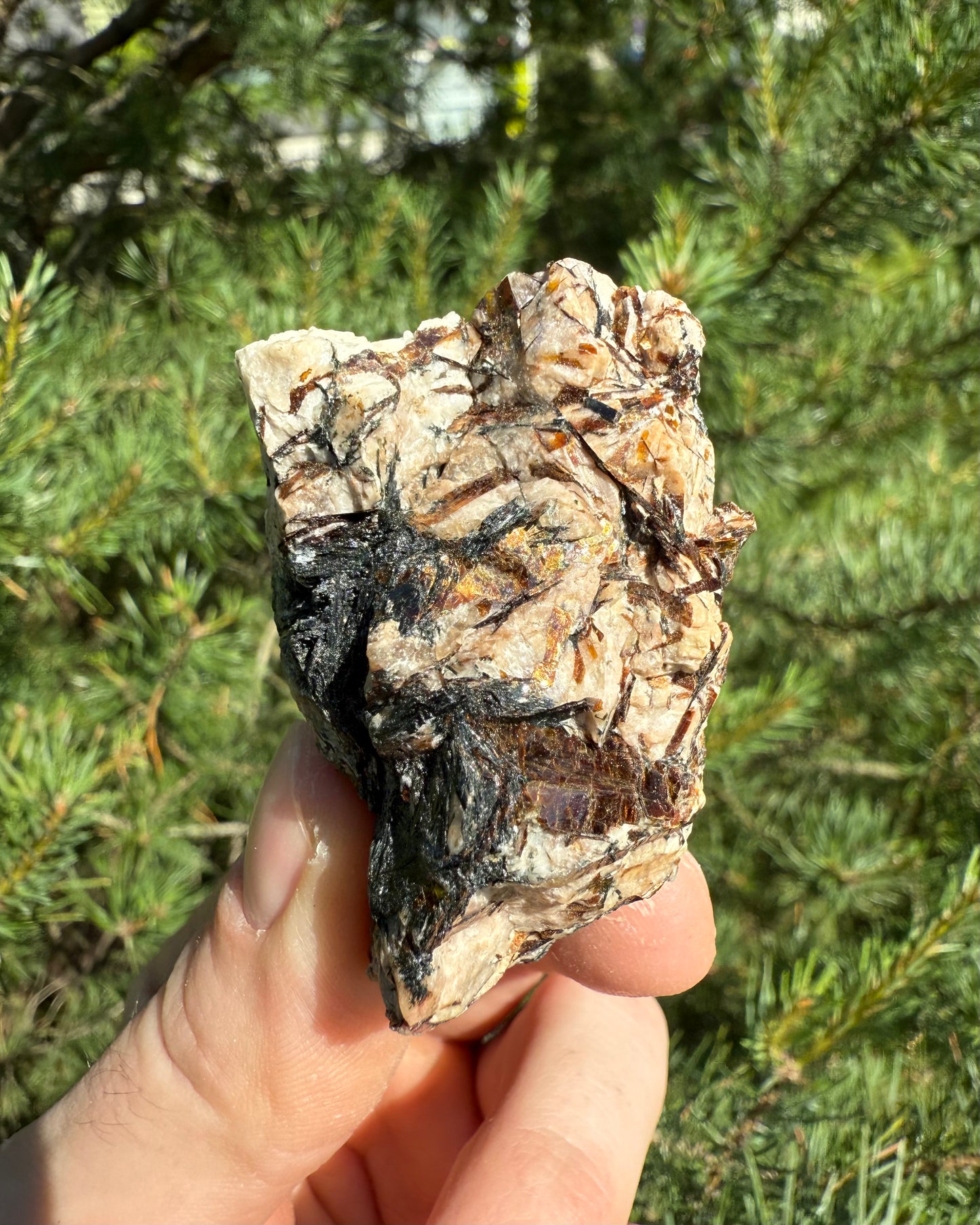 Astrophyllite.