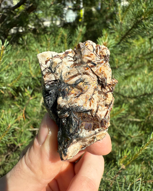 Astrophyllite. Renewal. Insight. Awakened Mind.