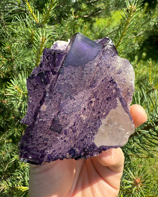 Purple Fluorite. Concetration. Intuition. Clear Mind.