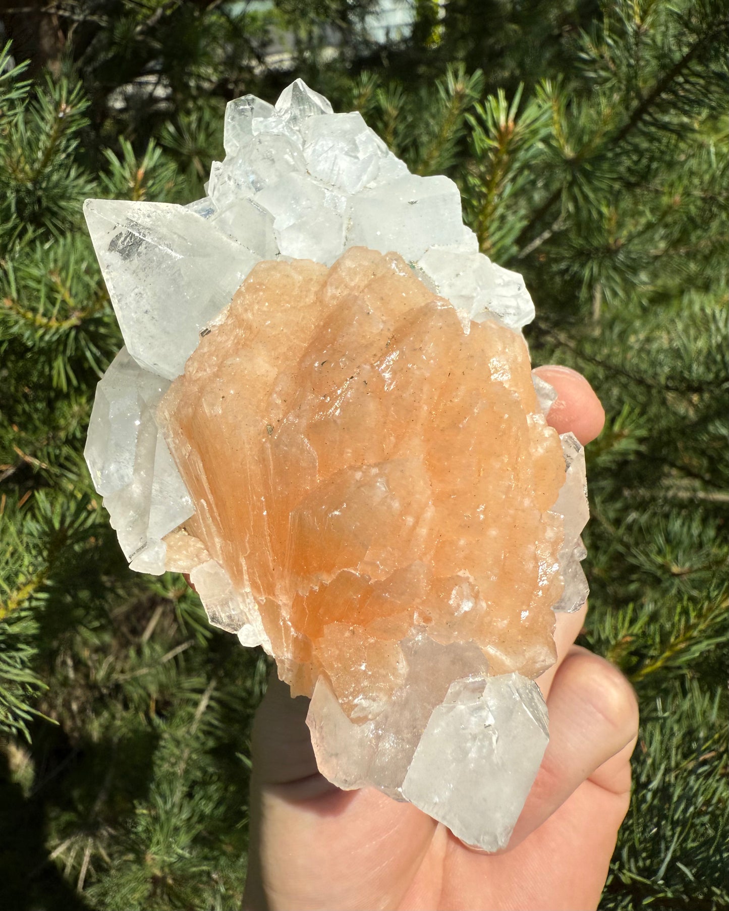 Apophyllite with Stiblite and Chlorite. Clarity. Grounding. Support.