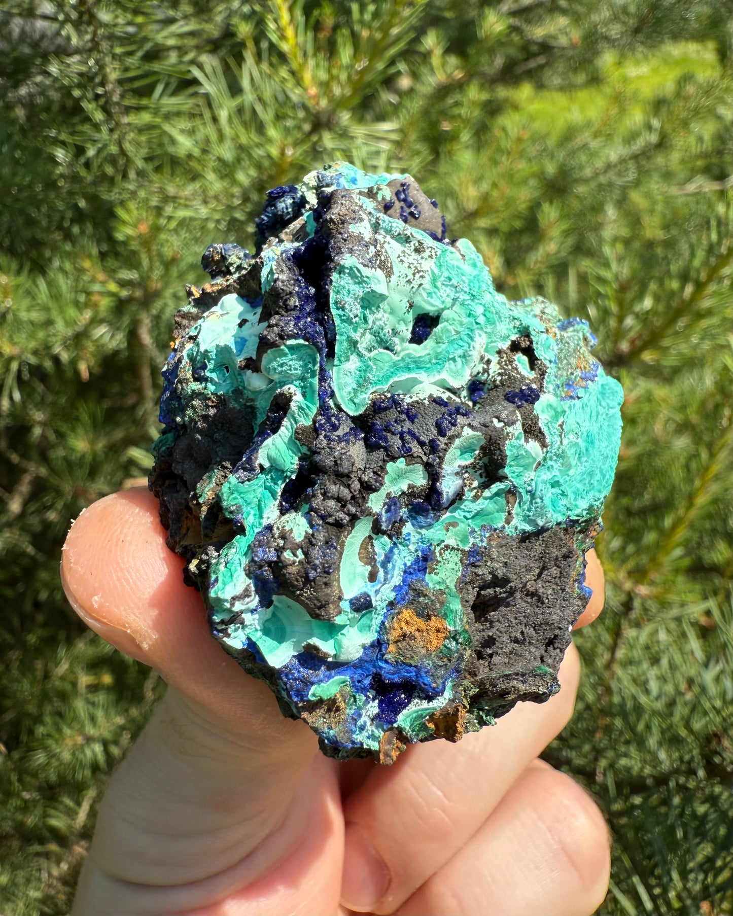 Blue Azurite with green Malachite.