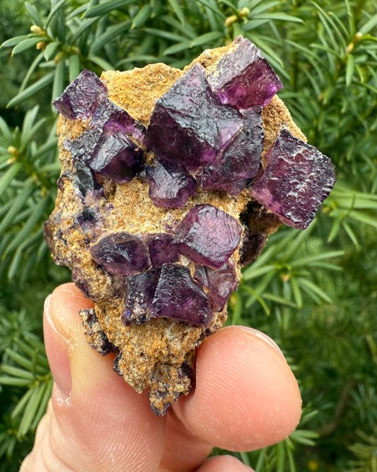 Purple Fluorite. For - Intuition, Concentration, Clear Mind.