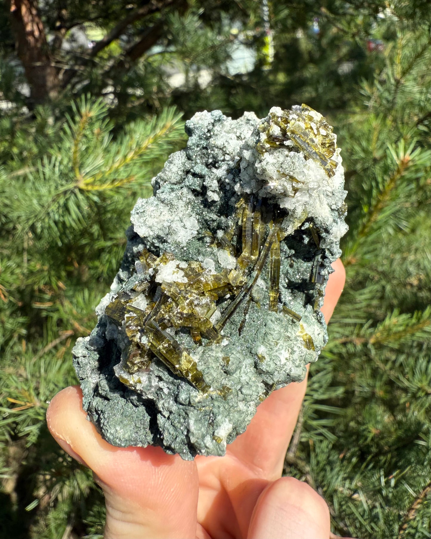 Epidote with Quartz and Chlorite.