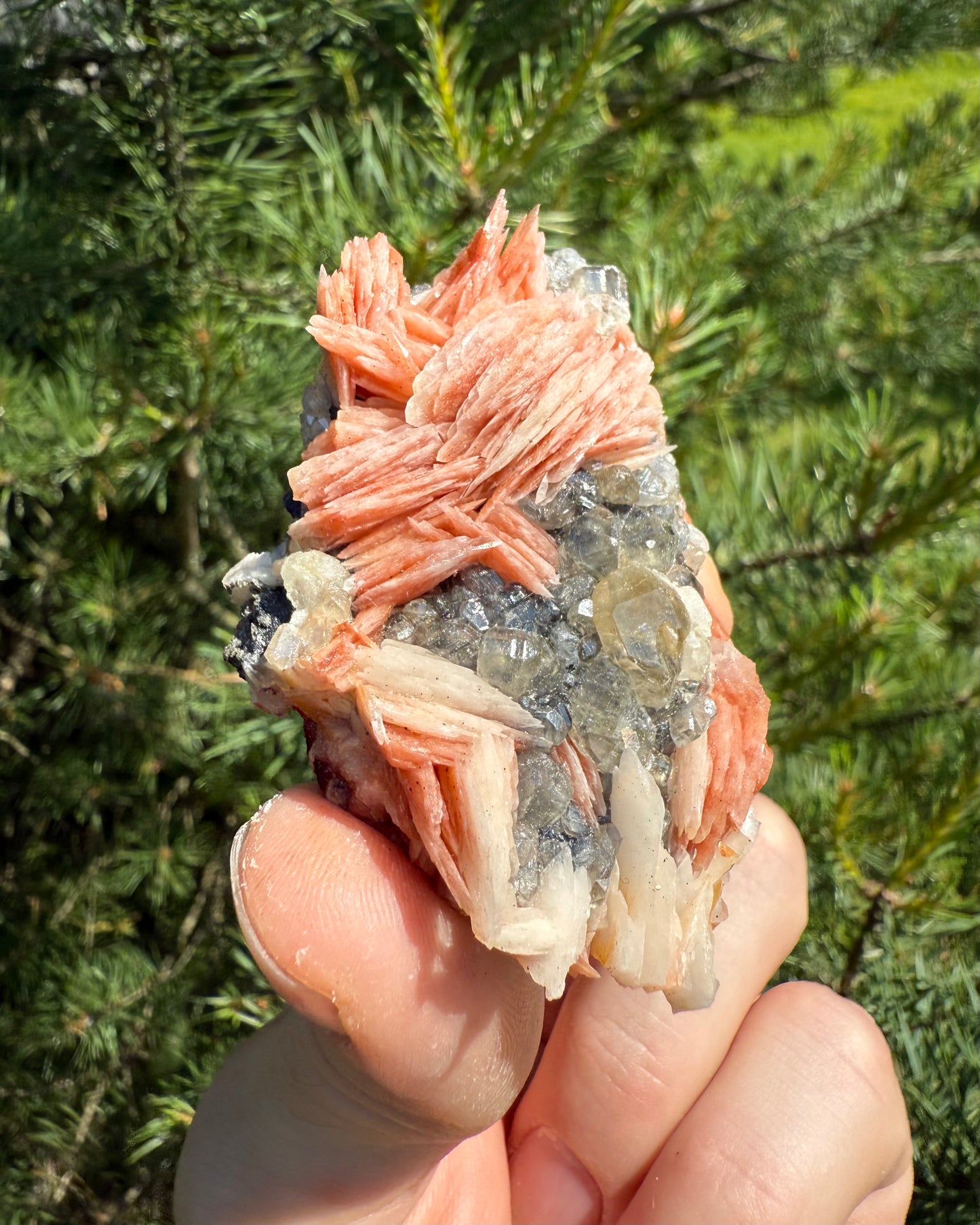 Cerussite with pink Barite.