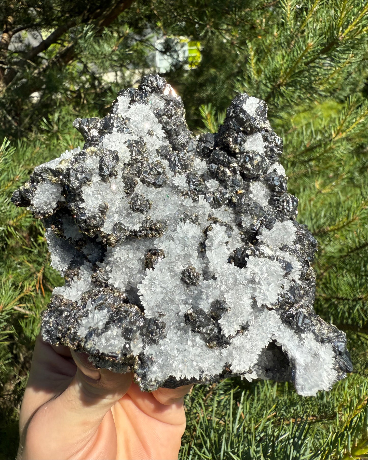 Snow Quartz with Pyrite.