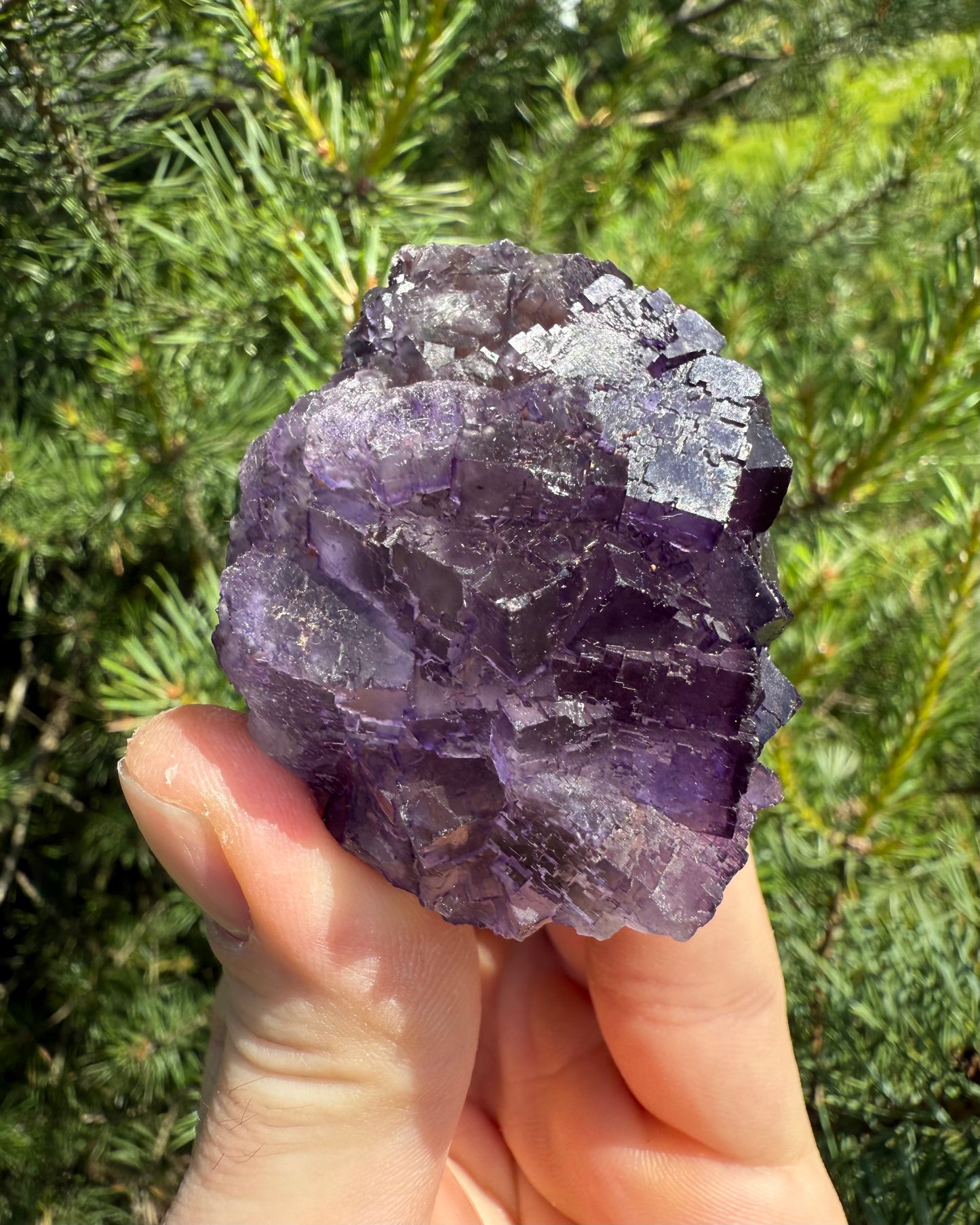 Purple Fluorite.